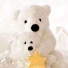 robinajaved03