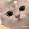 ria.zuairiyah