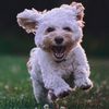knufflebunny678