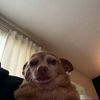chillguymari