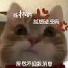user1320120208