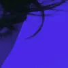 an_ee5