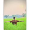 robiul_islam.rana