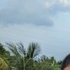 peceng77