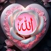 rabbil5960