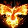 www.tiktok.com66zouz4