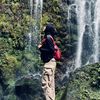 Rindu arestia