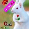 muhmmadismail63isi