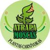 atrapamoscas.ec