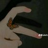 user8196760212436