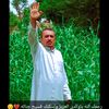 nassralshawesh0