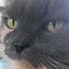 tetwet1