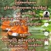 thandar.aung348