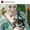 teresaschihuahuas