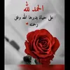 loloulou6