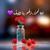 user7756020076028