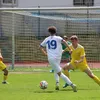 vbrozek