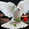 rimaboudhan