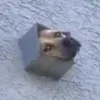 connahdc