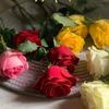 user9491014810496