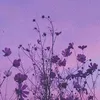 lavender._vibes