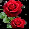asdasd97435