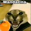 alexanderguillen2184