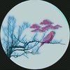 ..bird1