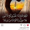 dyb0y85qlsc3