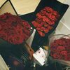 jana.mohamed7174