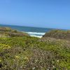 raybay767