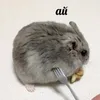 minihimera