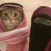 sara.mohamed_2007