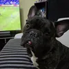 bea_4410