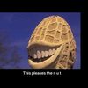 mrnutpea