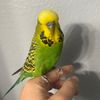 zoeblogz