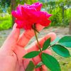 sharna_hossain2