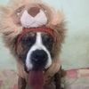 lauralopez27918