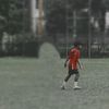 blod_t11