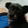 cronossssssssssssss