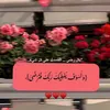 ku_r166