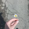 p_mara.3456
