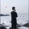 lenamphongdz