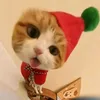 meomeoiu_cte