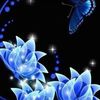 user3097129394354