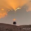 سعود ابو مشاري