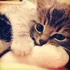 arveyyymybaby