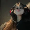 ___.kvyy