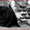 ibrahimmartinez331