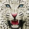mayadamoustafa345